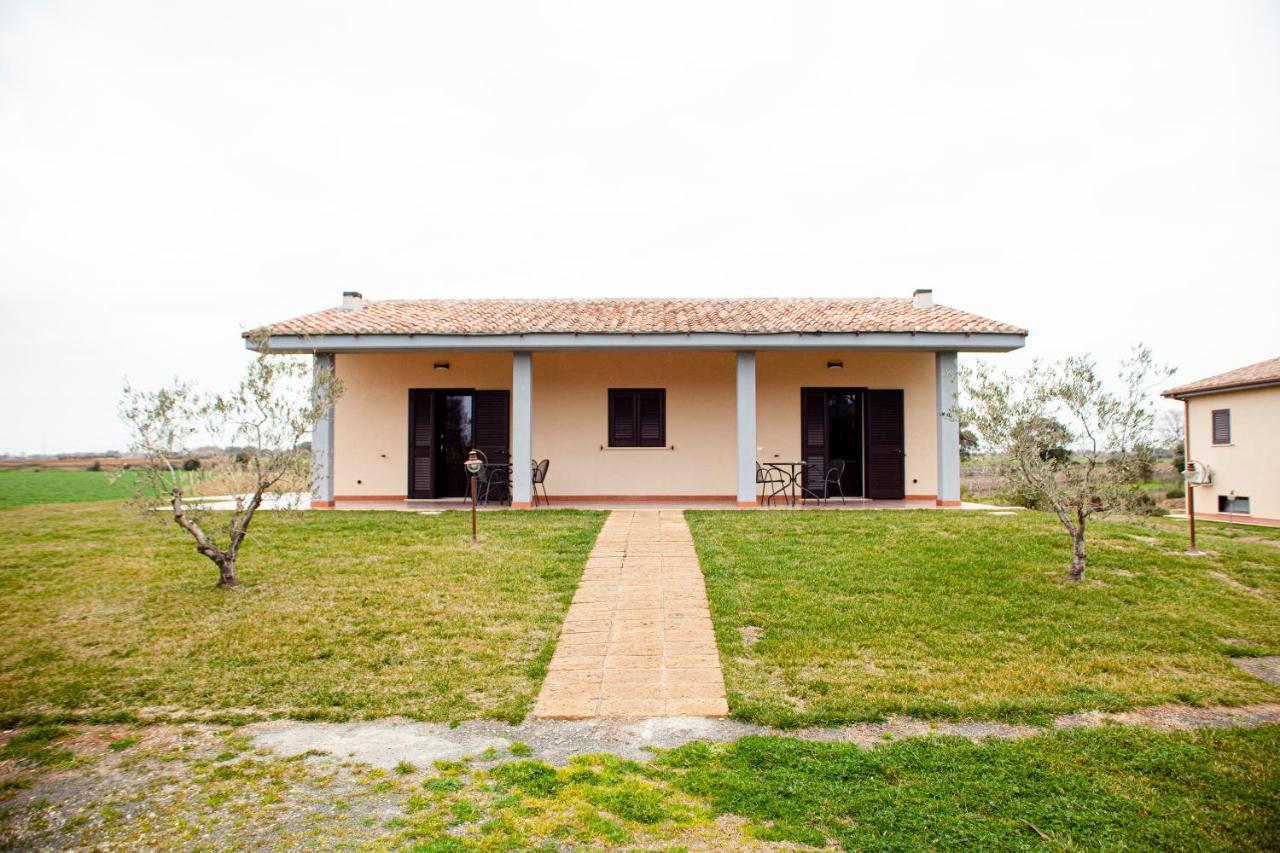 Podere Giovanni Olivo Tarquinia Ngoại thất bức ảnh