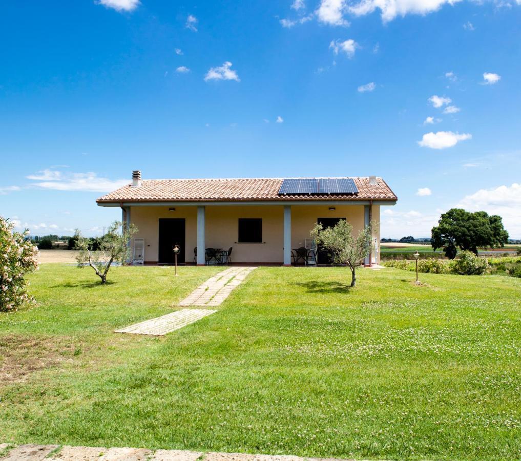 Podere Giovanni Olivo Tarquinia Ngoại thất bức ảnh
